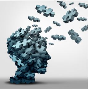 Different Brain, Different Behaviour…